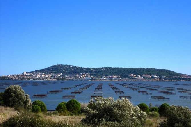 Small-Group Half-Day Languedoc Wine and Oyster Tour From Montpellier - Customer Reviews