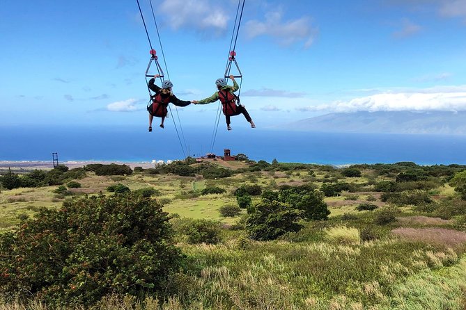 Small-Group Half-Day Maui Zipline Tour - Expectations and Restrictions