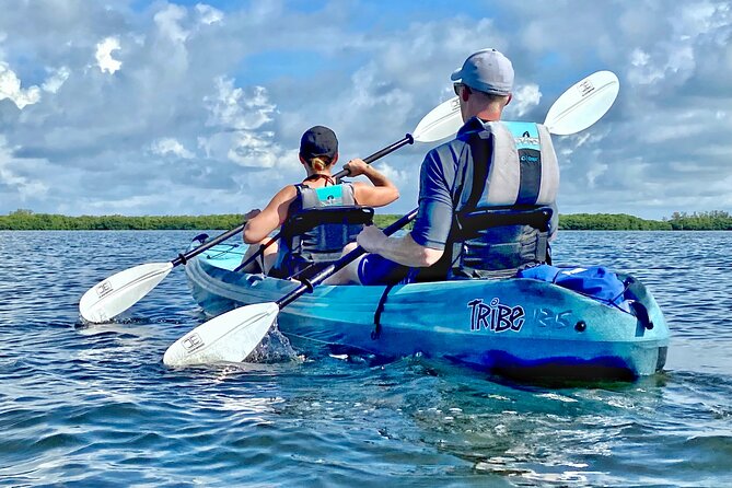 Small Group Kayak Tour of the Shell Key Preserve - Additional Information