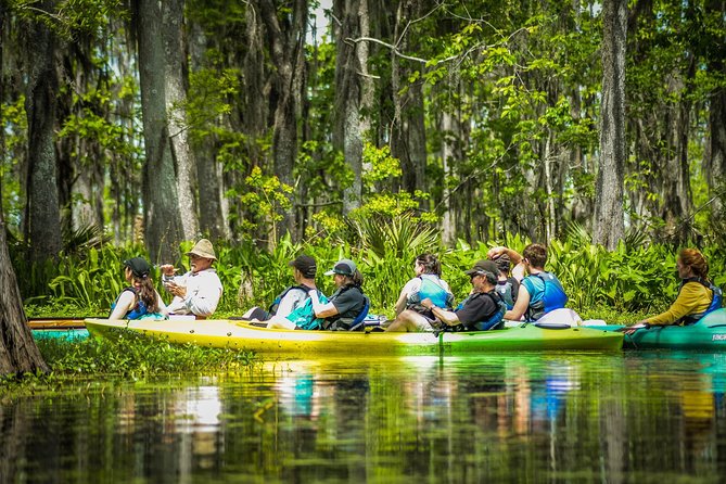 Small-Group Manchac Swamp Kayak Tour With Local Guide - Final Words
