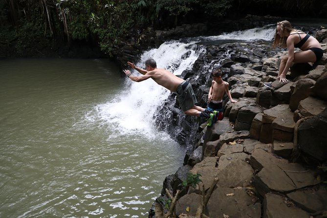 Small Group Waterfall and Rainforest Hiking Adventure on Maui - Customer Feedback