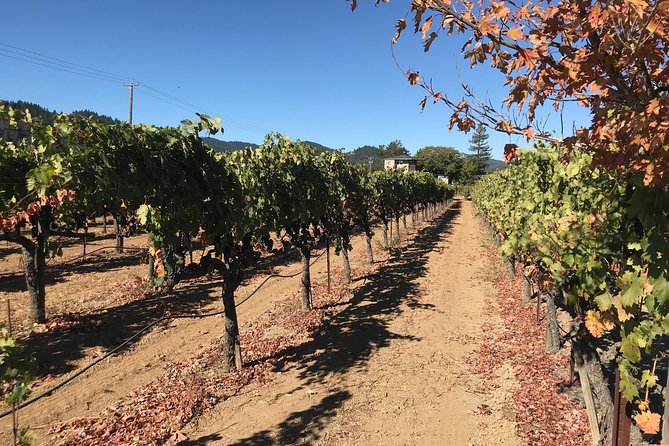 Small-Group Wine Country Tour From San Francisco With Tastings - Tasting Inclusions