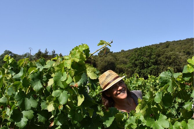 Small Group Wine Tour in the Vineyards of the Gulf of St-Tropez - Small Group Experience