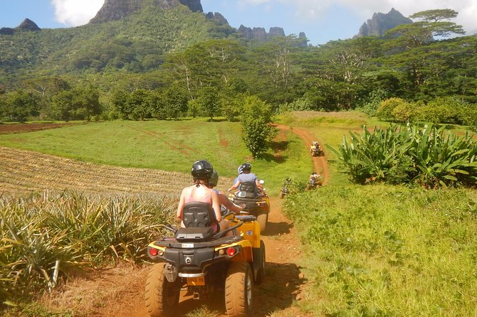 Small Quad Tour 2h30 Quad Excursion in Moorea (Single or Two-Seater) - Customer Testimonials and Experiences