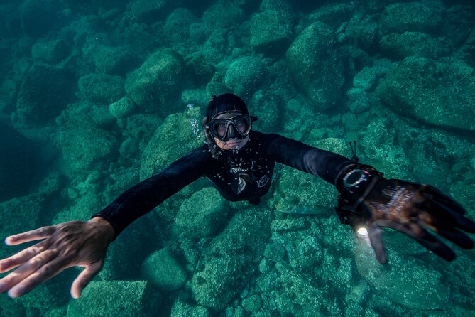 Snorkeling With Marine Biologist Expert From Sorrento - Traveler Photos and Reviews