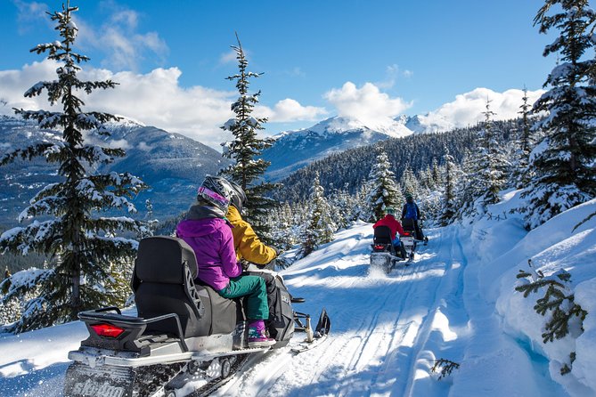 Snowmobile Family Tour in Whistler - Additional Information