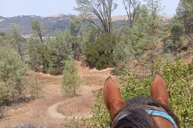 Sonoma Horseback-Riding Tour - Traveler Reviews