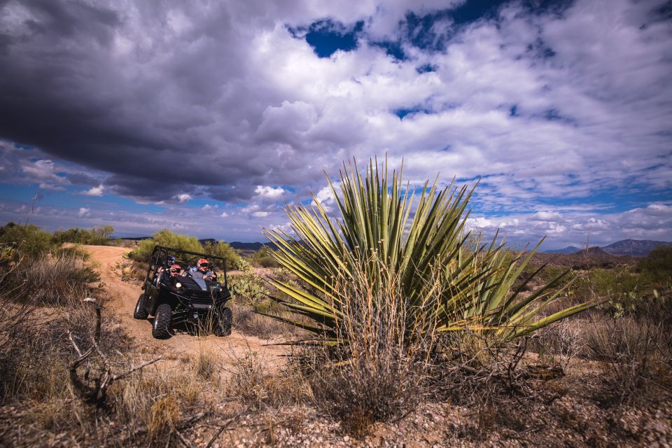 Sonoran Desert: Guided 2-Hour UTV Adventure - Tour Guide Details