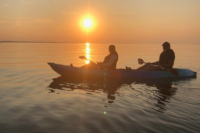 Sunset Dolphin Kayak Tours - Additional Information