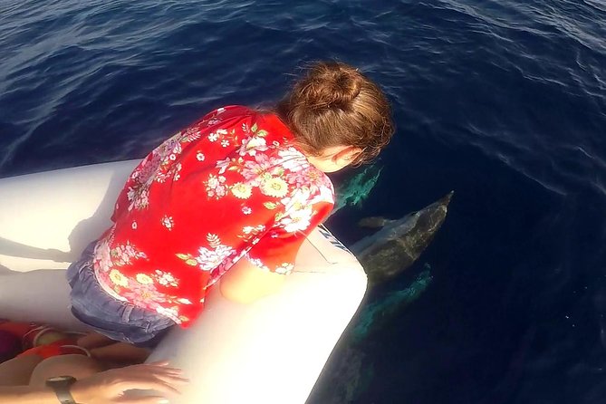 Sustainable Dolphin Watching Tour With Marine Biologist  - Sicily - Customer Reviews