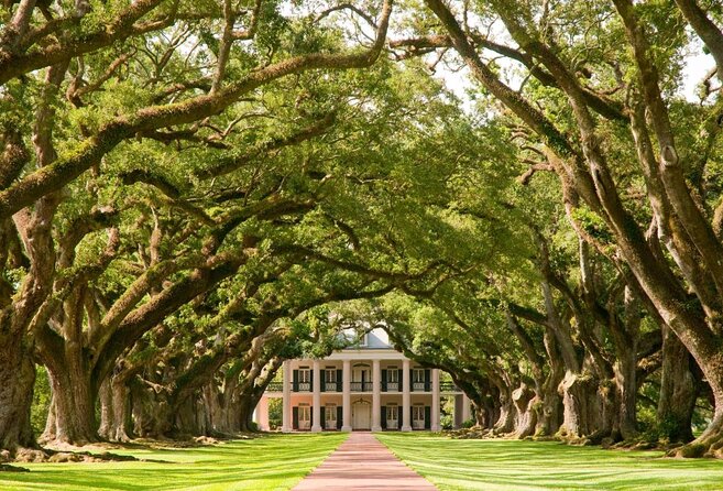 Swamp Boat Ride and Oak Alley Plantation Tour From New Orleans - Inclusions and Exclusions