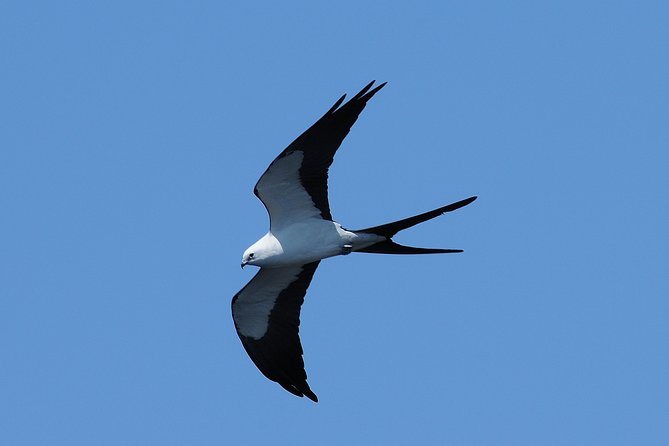 Ten Thousand Islands Small-Group Boat Tour From Marco Island  - Naples - Customer Feedback and Experiences Shared