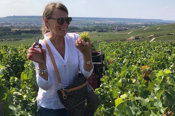 The Connoisseurs From Epernay (Private Half Day Champagne Tour) - Vineyard Visits and Tastings