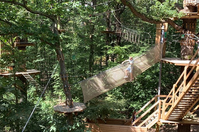 Tree Top Adventure in Forest of Meudon - Thrilling Obstacle Courses Await