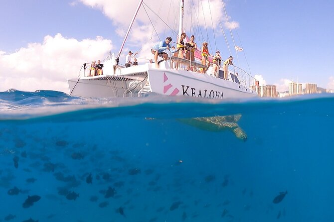 Turtle Snorkeling Adventure in Waikiki (Boat Tour) - Review and Pricing