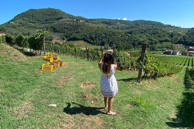 Tuscan Wine Tour in Lucca by Shuttle - Booking Information