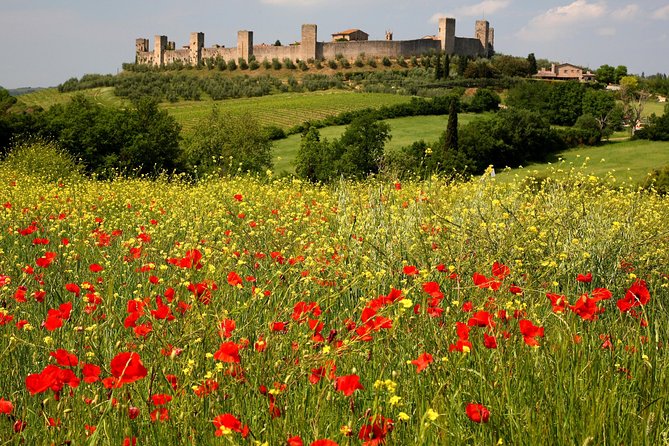 Tuscany Hiking Tour From Siena Including Wine Tasting - Final Words