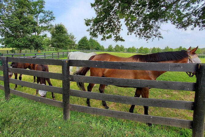 Unique Horse Farm Tours With Insider Access to Private Farms - Logistics and Important Information