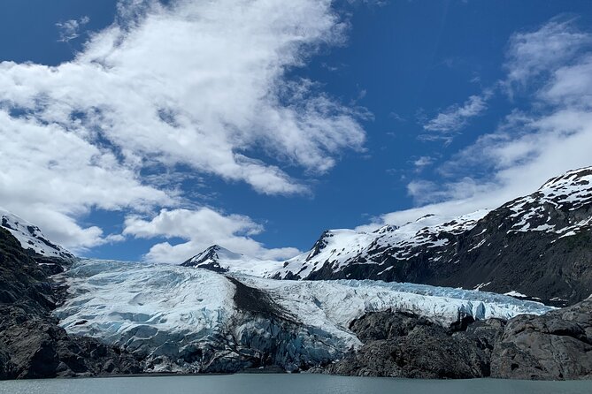 Valley of Glaciers Experience With Portage Glacier Cruise and Wildlife Tour - Hotel Pick-Up Convenience