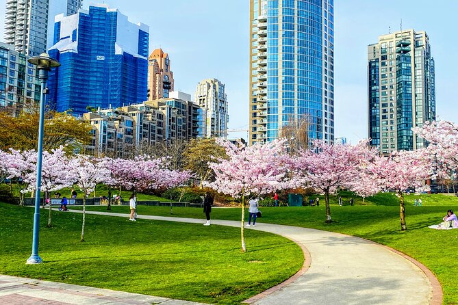 Vancouver City Tour With Cherry Blossom Festival Private - Private Transportation Details