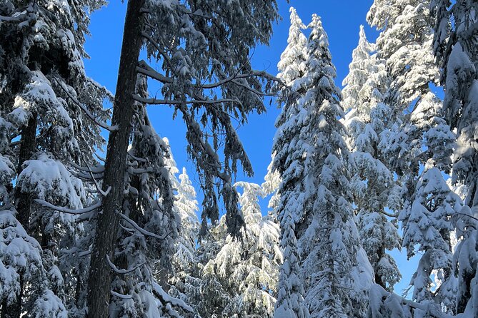 Vancouver: North Shore Mountains Small-Group Snowshoeing Tour - Additional Details