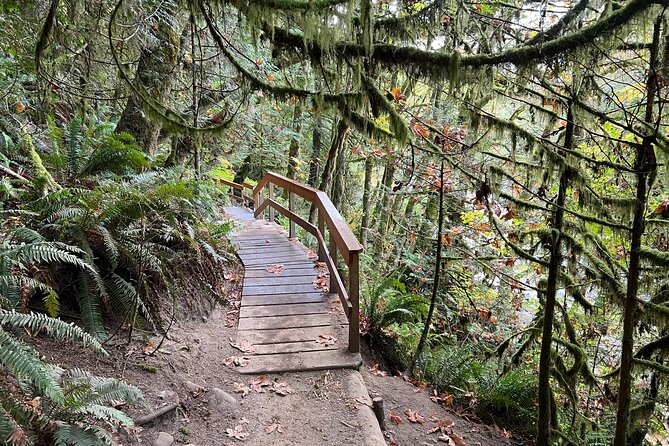 Vancouver Rainforest Hike With Waterfalls, Suspension Bridge, Old Growth Forest - Traveler Feedback