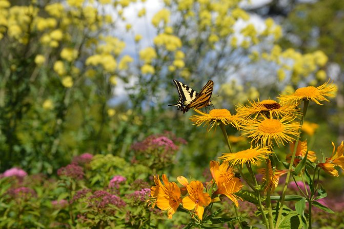 VanDusen Botanical Garden Admission Ticket - Additional Info