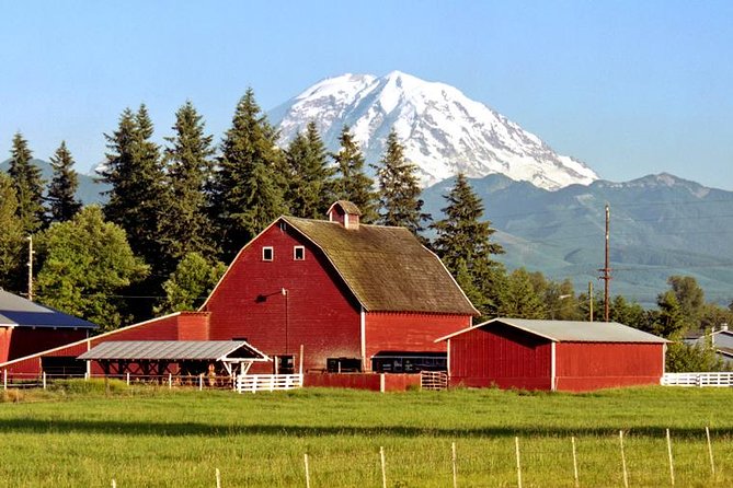 Viator Exclusive Day-Tour From Seattle to Mt. Rainier - Tour Highlights and Activities