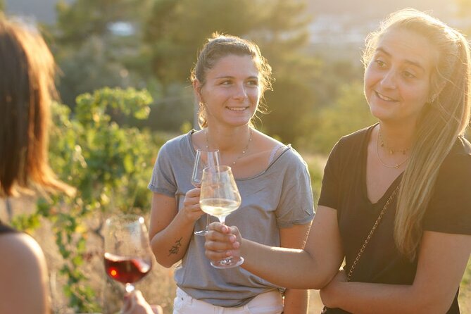 Vineyard Tour With Wine Tasting Within Nice City Borders - Additional Details