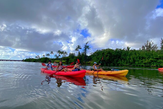 Wailua River and Secret Falls Kayak and Hiking Tour on Kauai - Customer Satisfaction and Overall Experience