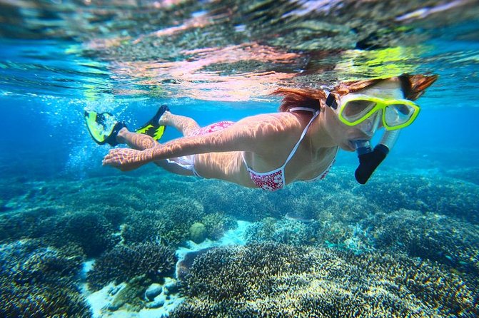 West Oahu Hawaiian Green Sea Turtle, Dolphin Snorkel Sail W Lunch - Booking and Cancellation Policy