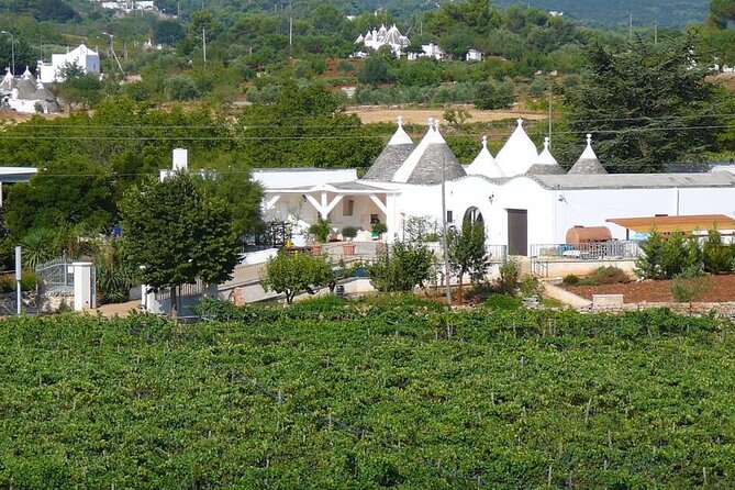 Wine Ostuni, Tour of an Apulian Winery With Traditional Lunch or Aperitivo - Customer Reviews