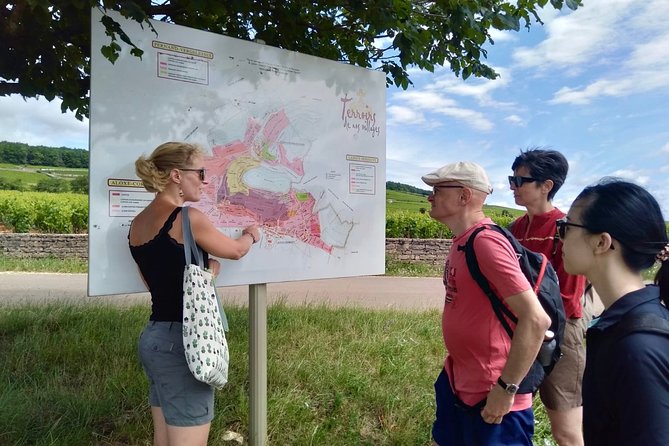 Wine Tour - Meursault, Its Prestigious Whites - Wine Tasting Experience Details