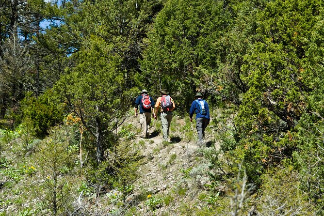 Yellowstone Full Day Private Tour - Traveler Experience