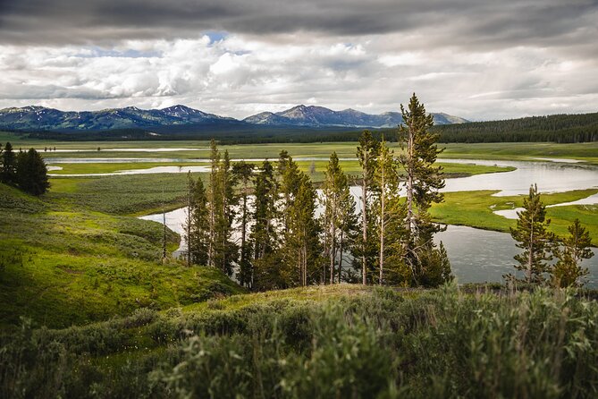 Yellowstone National Park Tour From Jackson Hole - Memorable Experiences and Tour Highlights