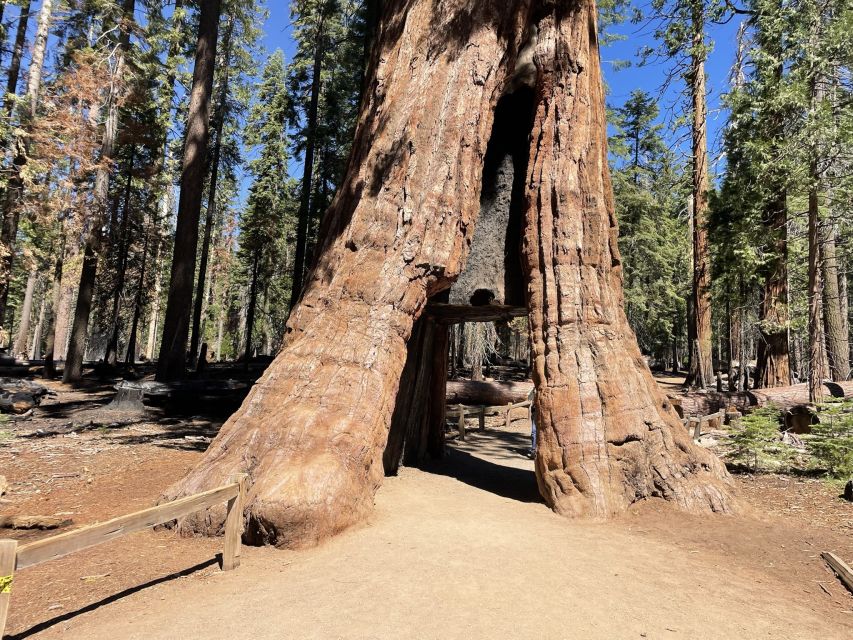 Yosemite, Giant Sequoias, Private Tour From San Francisco - Pickup and Transportation Information