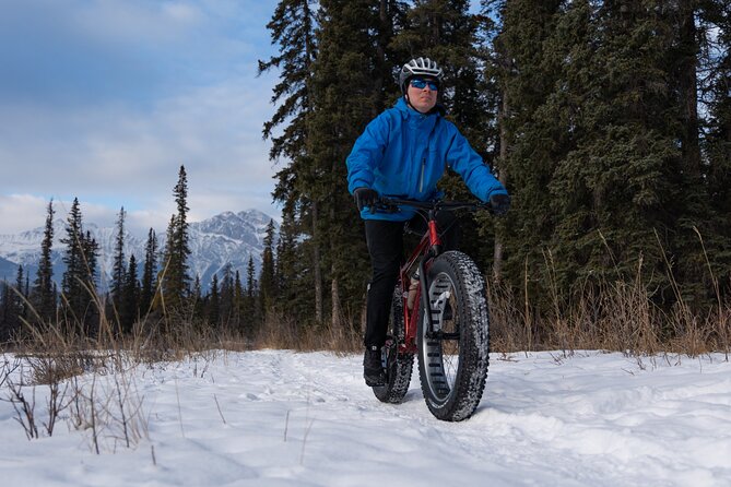 1-Hour Guided Group Fat Bike Tour - Cancellation Policy