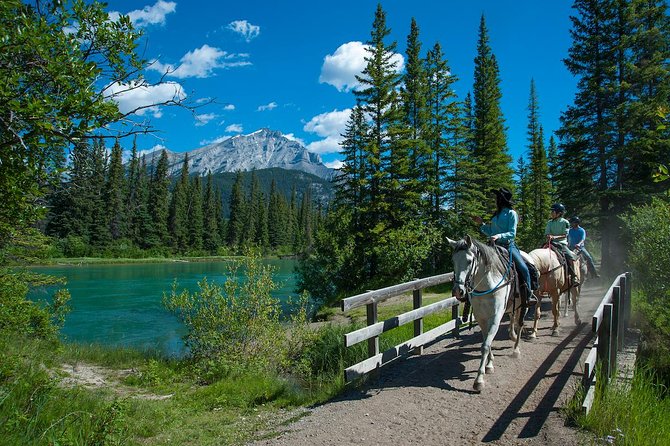 2 Hour Banff Horseback Riding Adventure - Safety Protocols