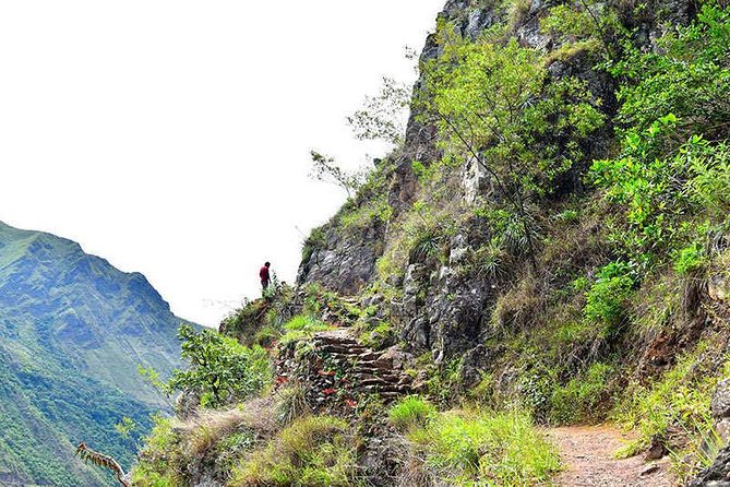 4-Day Inca Jungle Adventure to Machu Picchu Including Mountain Biking, Rafting and Zipline - Common questions