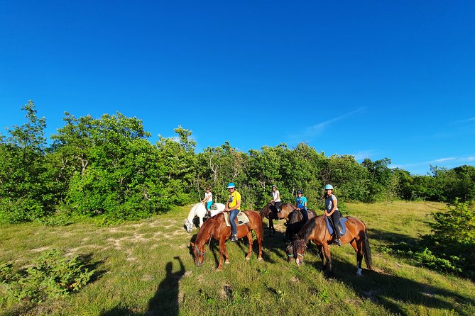 A Small-Group, Guided Haute-Provence Horseback Tour  - Moustiers-Sainte-Marie - Final Words