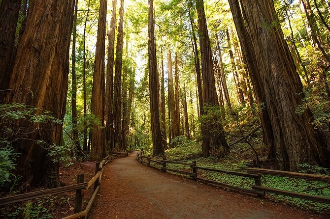 Alcatraz and Muir Woods Express With Golden Gate Bridge Visit - Tour Guide Experience