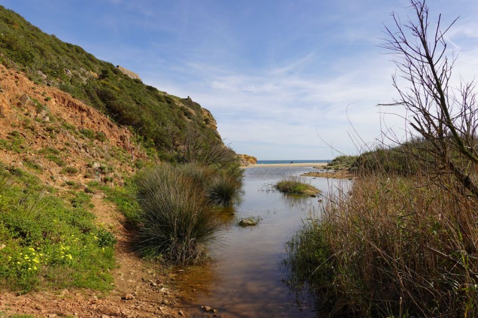 Algarve: Guided WALK in the Natural Park South Coast - Booking and Payment