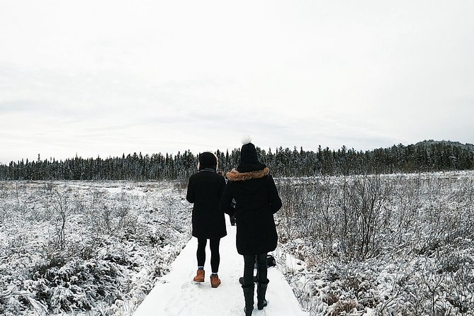 Algonquin Park Winter Adventure - Final Words