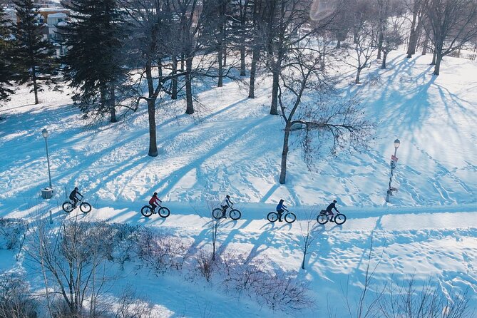 Amazing Winter Guided Biking Adventure in Old Quebec - Safety Measures and Precautions