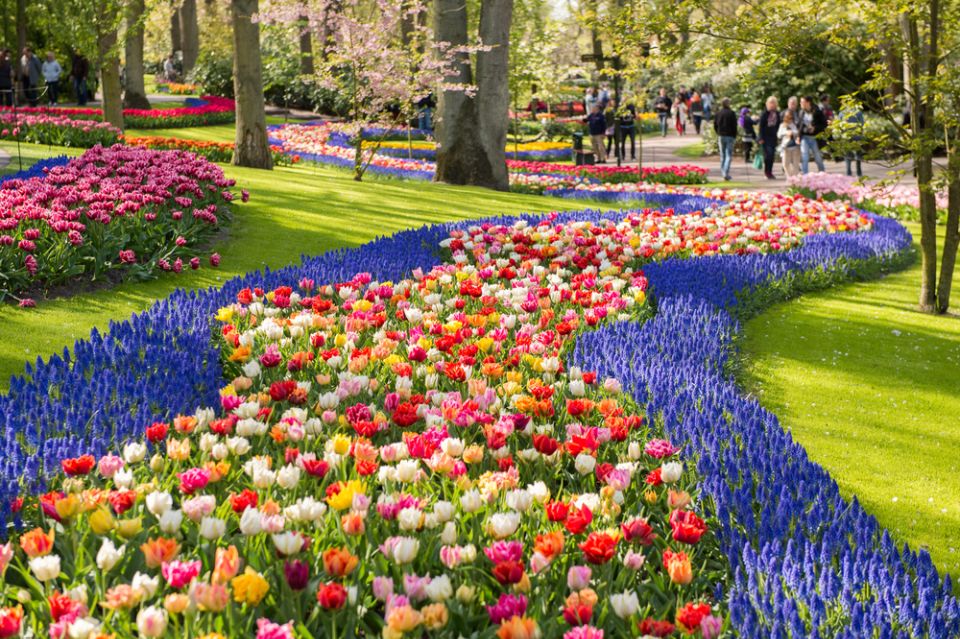 Amsterdam: Keukenhof Gardens Guided Tour Spanish and English - Directions