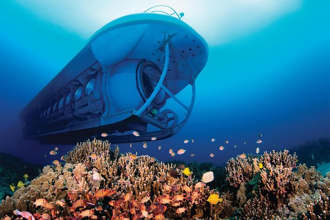 Atlantis Submarine From Kona Beach - Logistics and Meeting Point