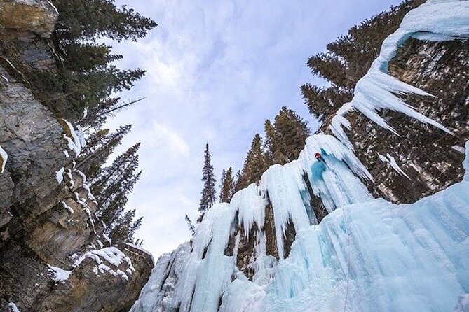 Banff Area & Johnston Canyon 1-Day Tour From Calgary or Banff - Language Barrier Issue and Positive Feedback