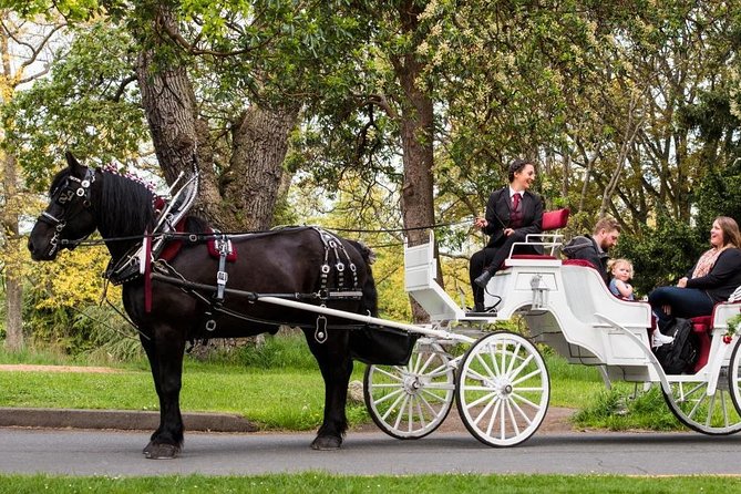 Beacon Hill Park Horse-Drawn Carriage Tour of Victoria - Tour Details