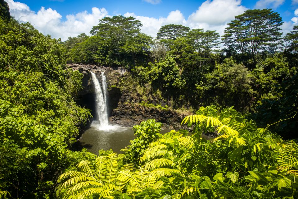 Big Hawaii: Private Guided Van Tour - Benefits of Private Guided Van Tour