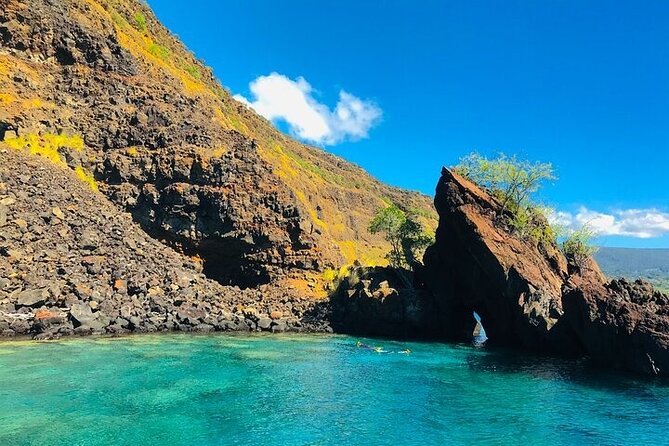 Big Island Speed Boat Snorkel Dolphin and Whale Watch Combo  - Big Island of Hawaii - Reviews